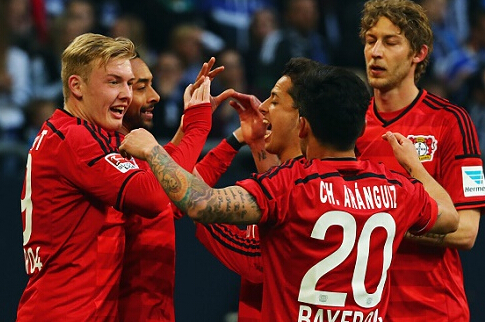 的灵活性 的灵活性